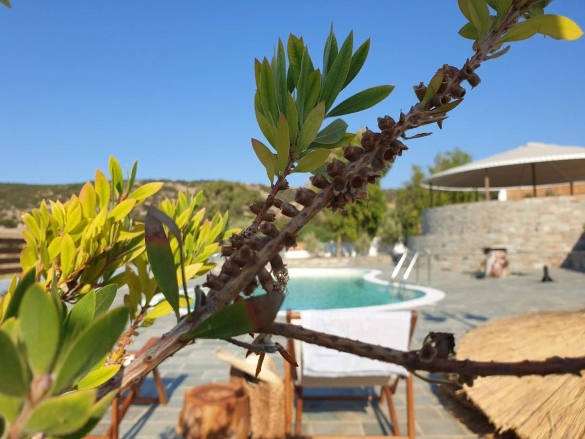 Anassa Cycladic Village Galissas Exterior photo